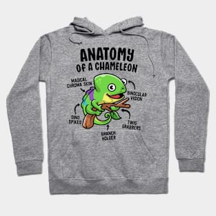 Anatomy Of A Chameleon Funny Reptile Lover Pet Lizard Hoodie